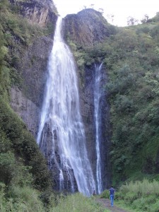 Chris Waterfall