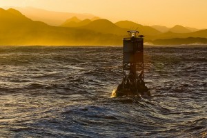 Buoy